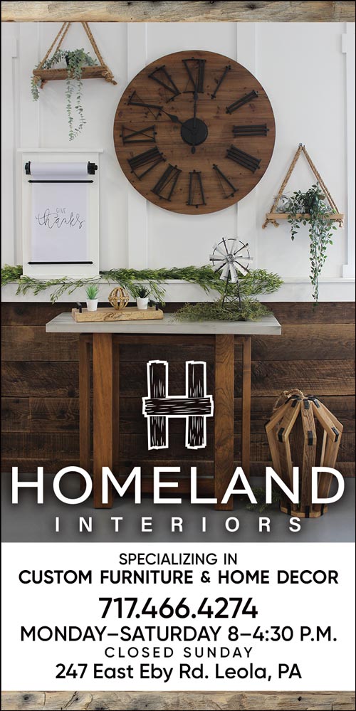 Homeland Interiors Ad