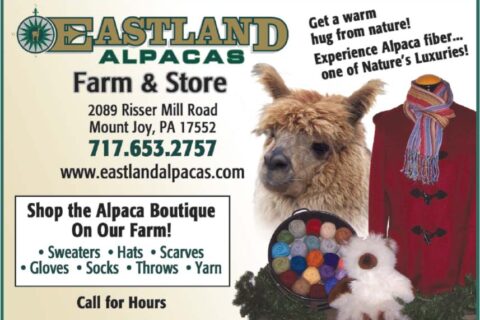 Permalink to: Get a Warm Hug from Nature at Eastland Alpacas Farm & Store