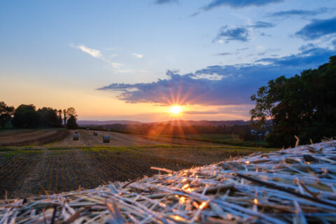 Permalink to: Amish Farms – Stats and Numbers Tell the Story